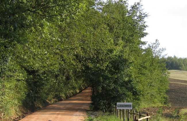 Azienda Agraria Montelujano - Photo 21