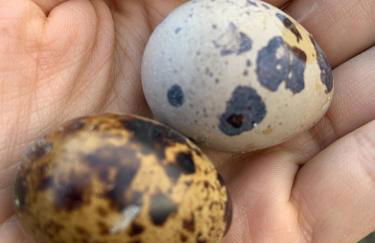 Moar am Ort - Foto 21