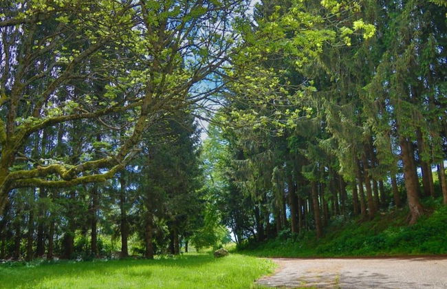 Elegante Ferienwohnung im Schwarzwald, Gorwihl - Foto 27