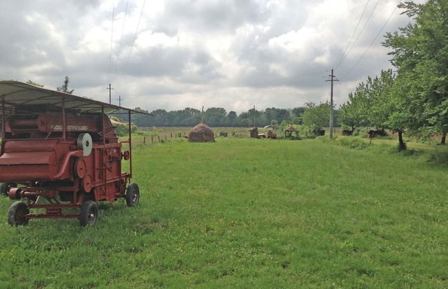 Historical Residence il Biribino 27 People - Foto 67