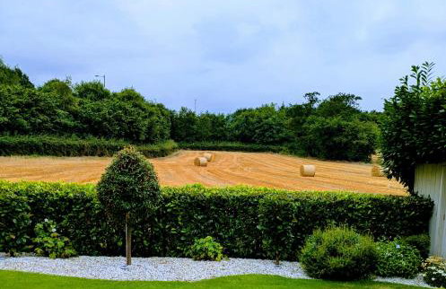 Lady Hill, Royal Hillsborough - Foto 3