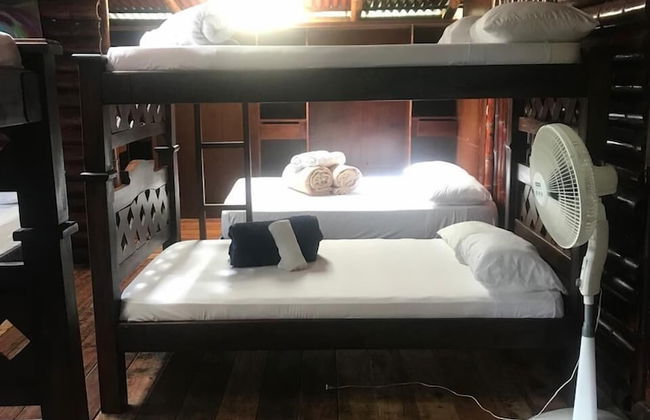 Ecocabañas Pereira - Foto 20