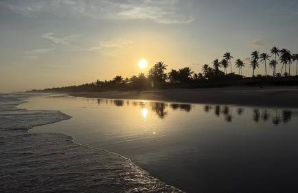 Alphaville Naia Guarajuba AP 21 - Foto 65