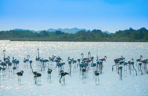 Stalakton Country Maisonettes - Photo 40