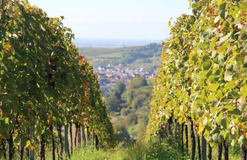 Ferienwohnung Luna -3 Schlafzimmer, Waschmaschine, Küche, WLAN, ca 15 Min bis zum Europa Park, - Foto 46