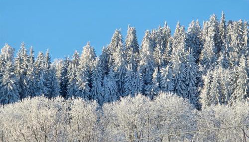 Nad Strumieniem - Foto 2