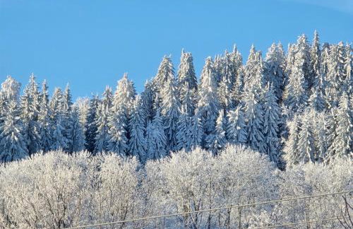 Nad Strumieniem - Foto 2