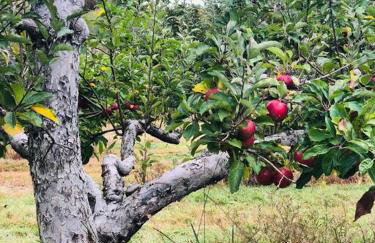 Berkshire Vacation Home in Lee - Pool is Open! - Foto 65