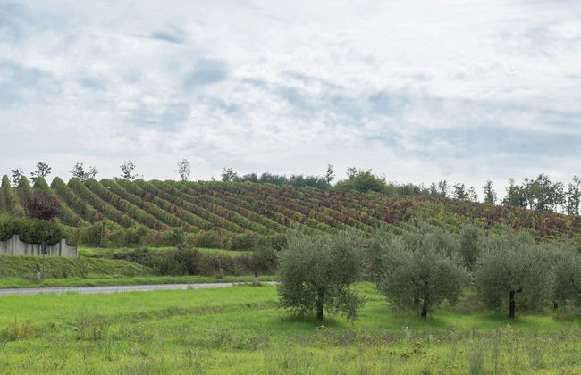 Belvilla by OYO Giglio - Foto 28