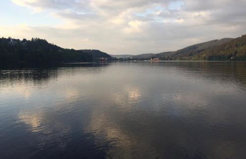 Titisee Haus Vogelnest - Photo 54