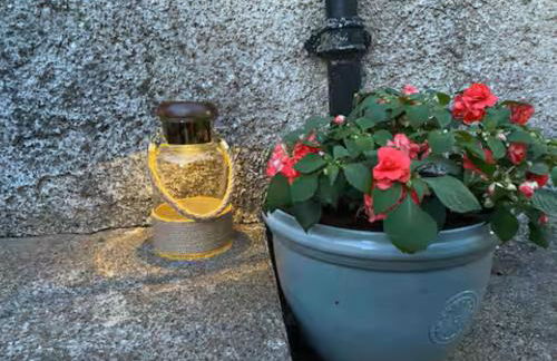 The Cottage at Sychnant Farm - Photo 22