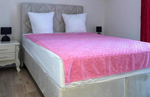 Beautiful Home In Lovorje - Photo 12