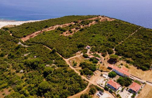 Sakarun House - Ivana - Photo 73