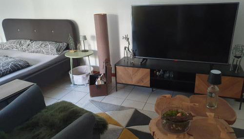 Ferienwohnung in Durbach- Urlaub am Weinberg - Foto 2