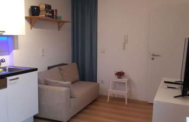 Apartment mit Innenhof, Rasen und Parkplatz - Photo 20