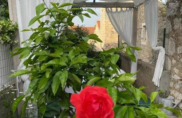 Kaleta apartman - Foto 28