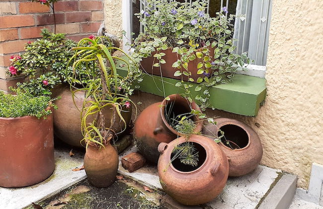 The Hostel Bogota Real - Photo 9