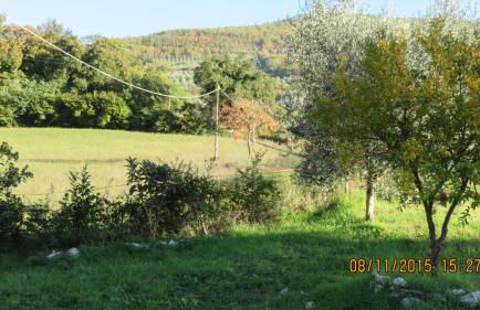 Agriturismo I Melograni - Foto 43