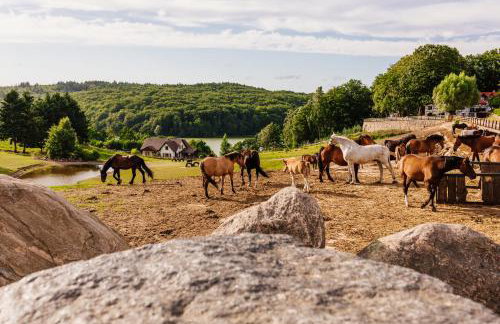 Apartamenty na Pastwisku - Foto 12