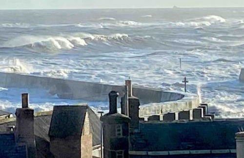 Driftwood - Photo 32