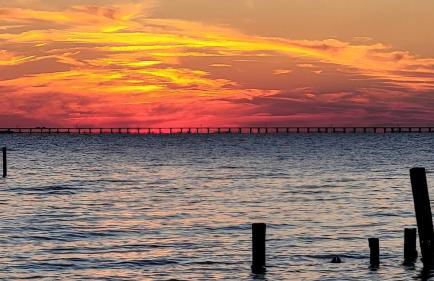 The Green Heron Waterfront Albemarle Sound - Foto 15