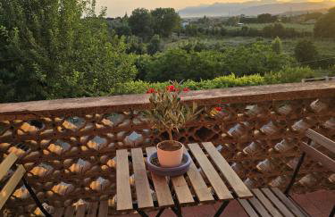 Tenuta degli Ulivi - Dimora Contadina - Foto 17