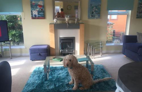 Lukes Lodge, where the fun begins, Woodland View, Hot Tub, dog friendly - Foto 37