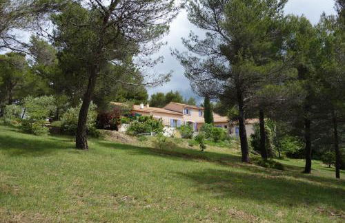 La Pinède du Barroux - Foto 11