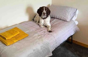 2 Bedroom house overlooking Pierowall Bay, Westray - Foto 11