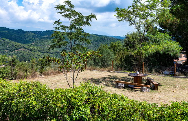 Ginesteres - Foto 30