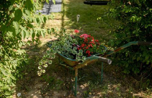 Apartmani Ana & Milo - Foto 12