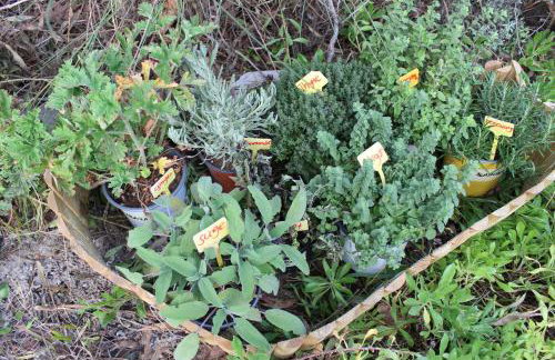 Felia Villa - Foto 72