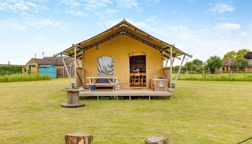 Fallow - Uk47397 - Foto 3