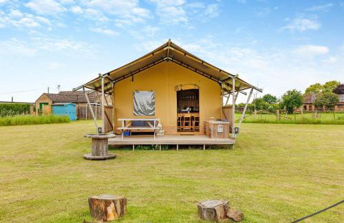 Fallow - Uk47397 - Foto 3