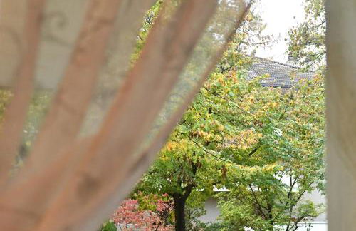 Sole Abano Terme - Foto 30