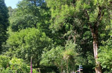 Moulin de Sansonneche - Gite Laine - Foto 28
