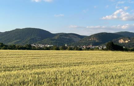 Wohnung mit Küche Balkon Parkplatz in der Nähe von Heidelberg - Foto 23