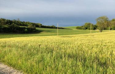 An der Stadtmauer Bürgel - Foto 28