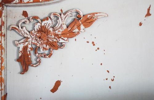 La Grulla Dorada - Foto 8