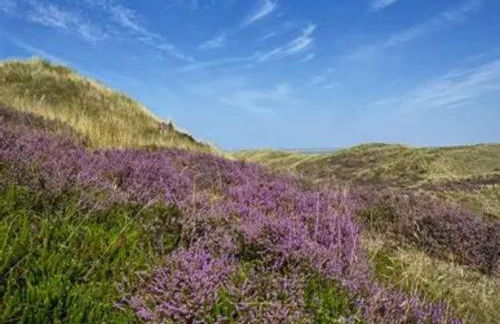 Appartements Post Hiddensee, Vitte - Foto 76