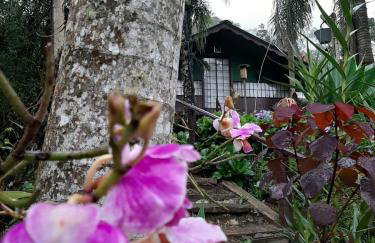 Chalé Pakere Bellavista - visão magnífica do vale e montanhas a mais de mil metros de altitude, wi-fi, sauna, piscina e água de nascente - locação do chalé sem prestação de serviços - Foto 62