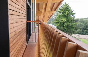 Schwarzwald Chalet Auwald - Foto 30