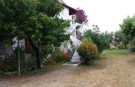 Theodore Apartments - Foto 7