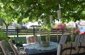 Dimitris house - Photo 26