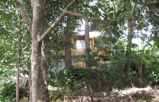 Tzikin Jaay - Foto 21