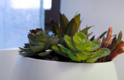 Lighthouse Ladispoli al mare - Foto 16