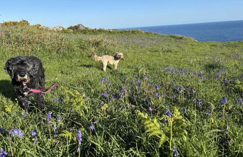 The Little Barn - Near St Ives Beaches & Walks, Dog Friendly - Foto 22