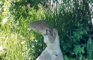 Gästehaus Burgdorf - Foto 26