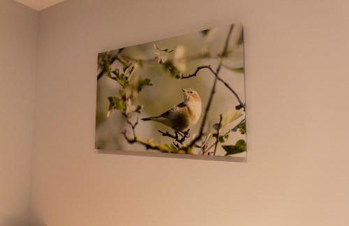 La Croix Bala - Foto 39