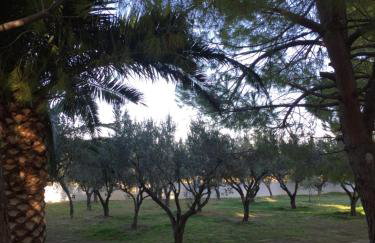 Phoenix Beachside Condos - Foto 38